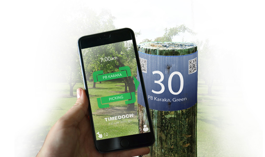 Scanning QR code signs in an Orchard to clock into TimeDock for online timesheets.